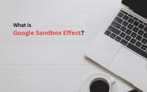 What Is Google Sandbox Effect