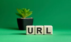 How To Set the Canonical URL?